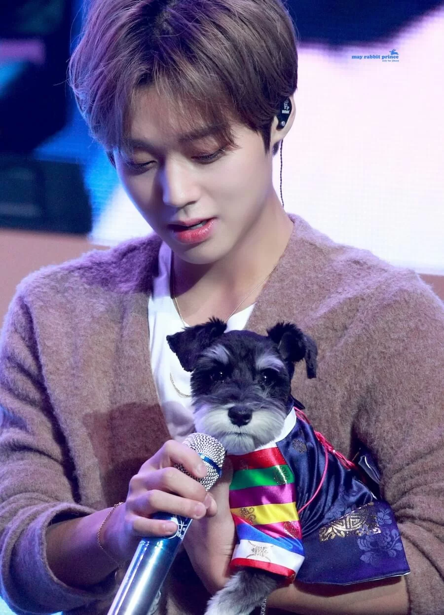 朴志訓接受訪問時稱非常希望帶愛犬Max一起來港，又說不介意Max的人氣超越自己。