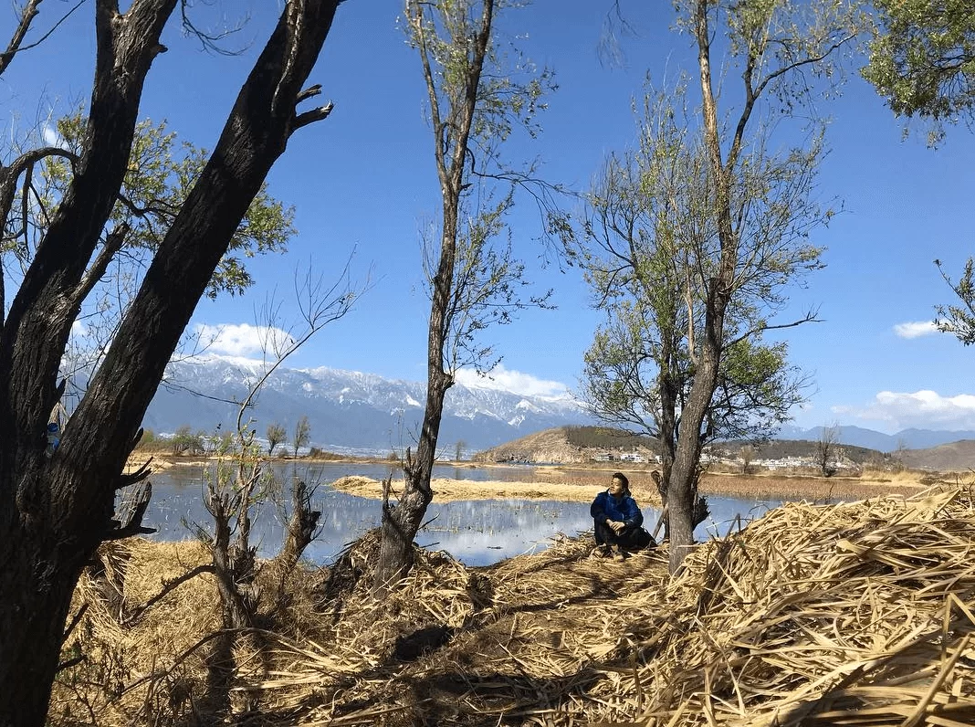 screen-shot-2019-03-04-at-4-37-36-pm