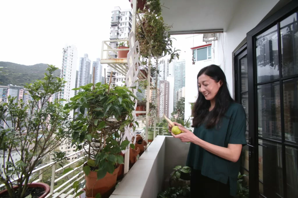 吳綺莉兩年前開始在家中露台種植，不止可以吃到自己的農作物，更令他從新了解生命價值。