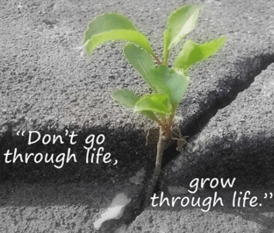 screen-shot-2019-04-28-at-3-04-53-pm