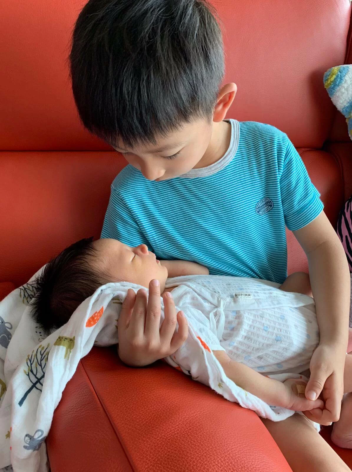 f4baeb01-d5ab-49d8-baaf-e6c4f3ae2b08