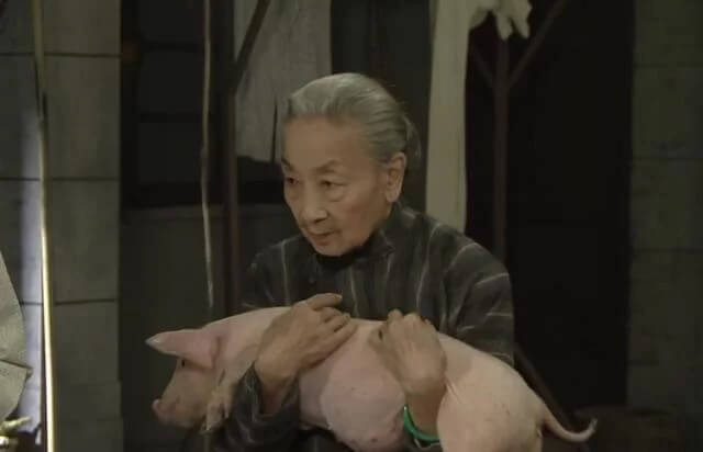 楊依依在劇集《福爾摩師奶》飾演的蓮婆，經常抱着一頭豬，令人印象深刻。