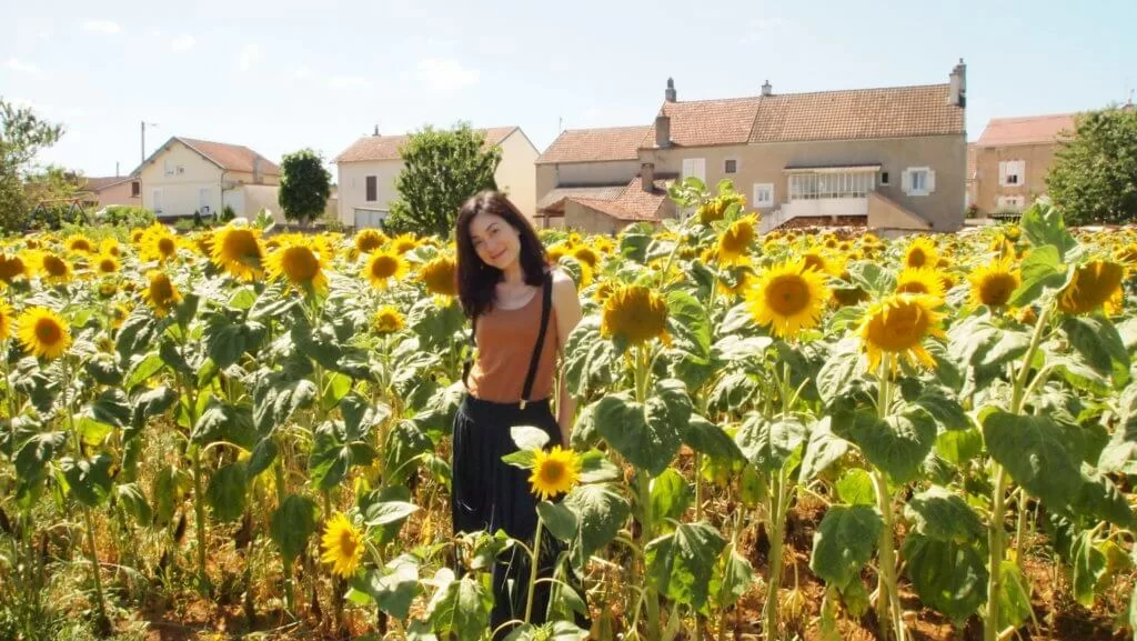 張可頤在英國讀中學,但未讀完大學就回港發展,平日喜歡到歐洲旅行。