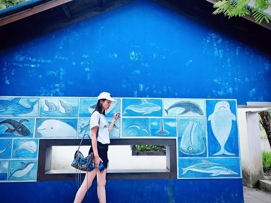 screen-shot-2019-06-11-at-3-09-19-pm