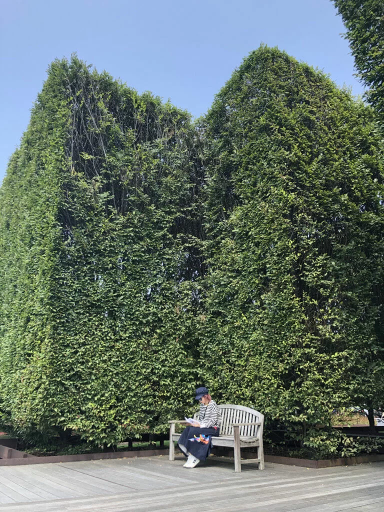 whatsapp-image-2019-06-20-at-3-49-19-pm