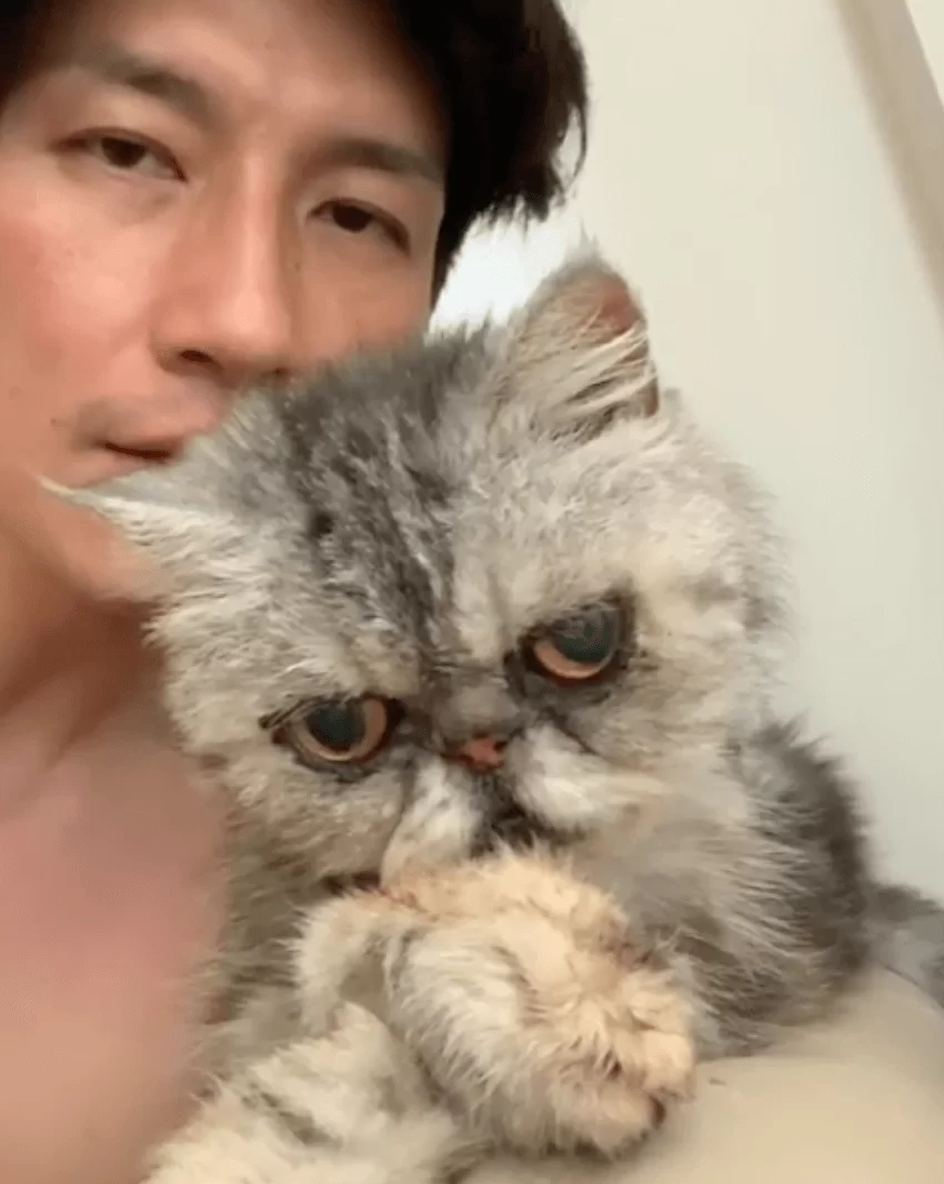 screen-shot-2019-08-07-at-3-45-12-pm