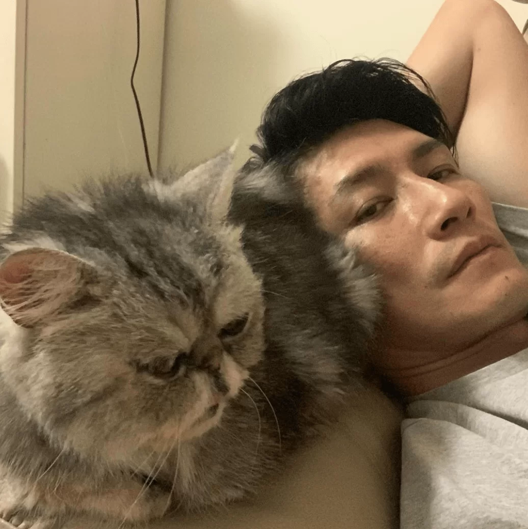 screen-shot-2019-08-09-at-3-50-10-pm