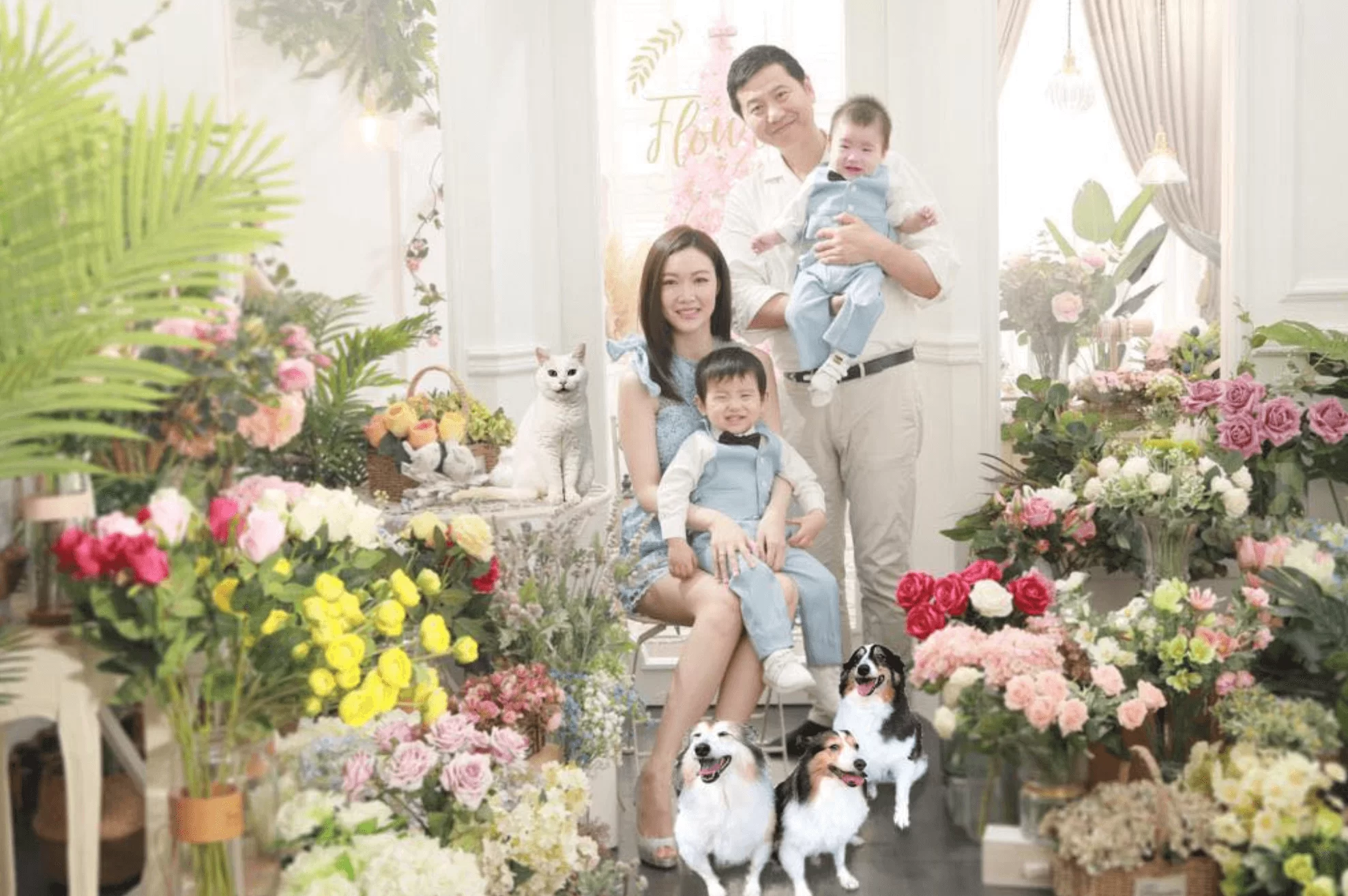 screen-shot-2019-08-09-at-5-46-04-pm