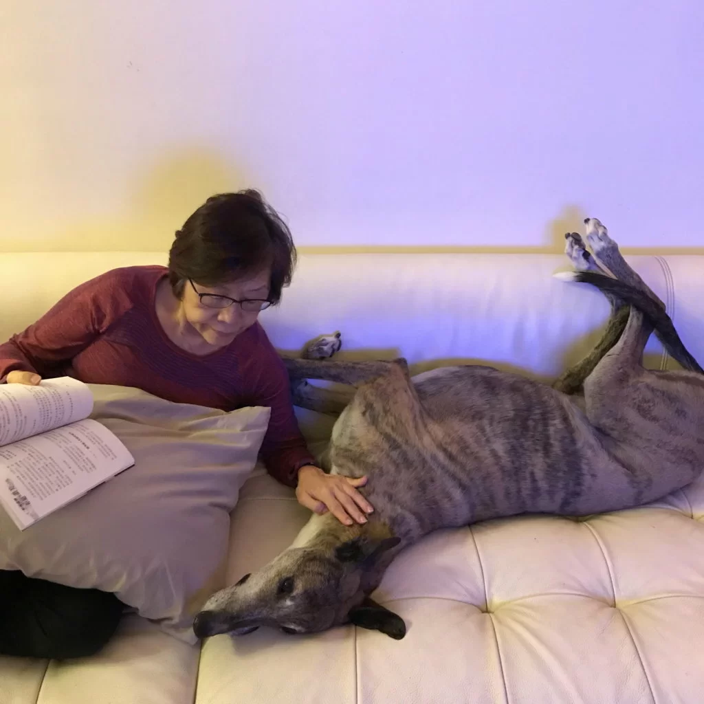 鄭融媽媽一邊看書,一邊輕掃Mack,十分溫馨。