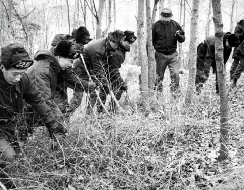「青蛙少年事件」轟動一時,全民要求徹查,警方在壓力底下在全國展開搜查。
