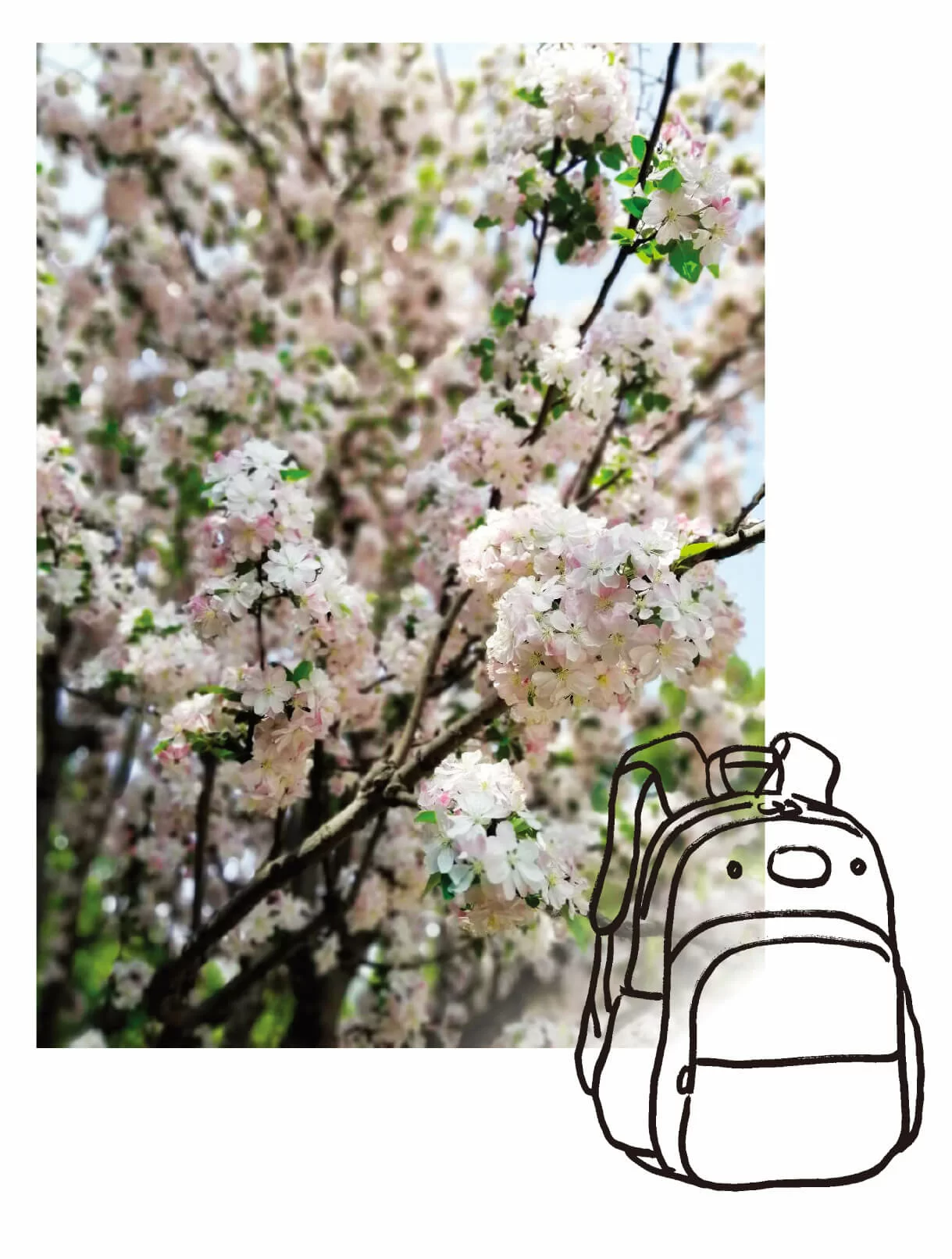 59chiu