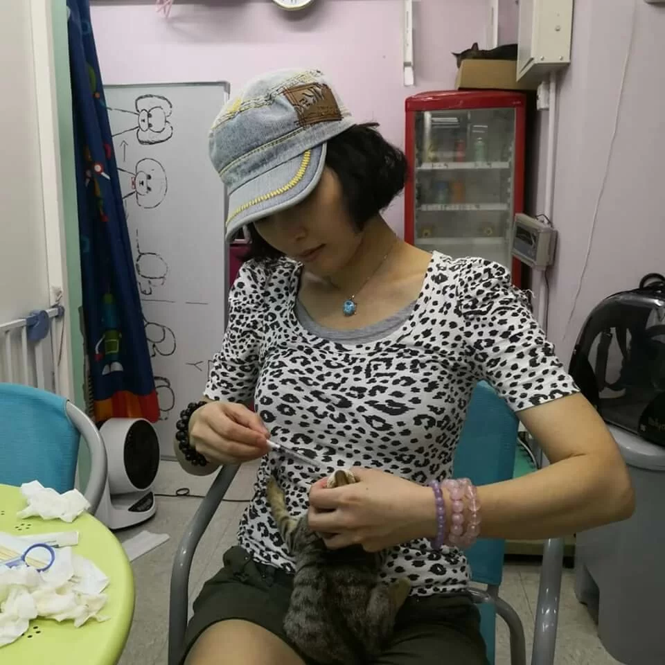 多年來有參與動物義工工作，何綺雲認為貓貓反而拯救了她，令她對人生有改變，亦令她跟父母修補關係。