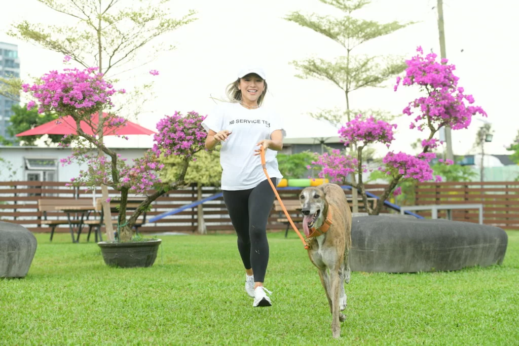 鄭融第一次做領養者,是一隻體重跟她相近的格力犬。