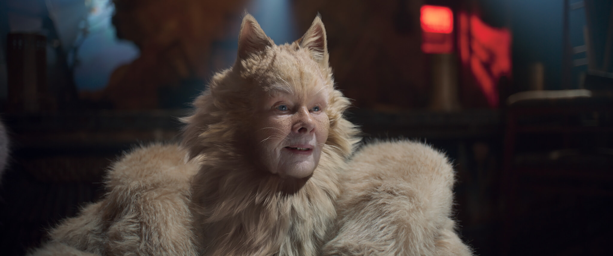茱迪丹慈三十多年後再與《Cats》結緣，飾演貓領袖杜托洛美。