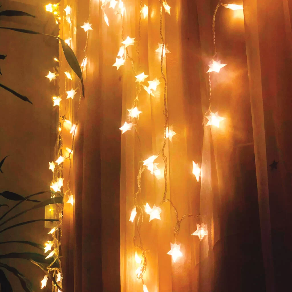 李珊珊家居一角 