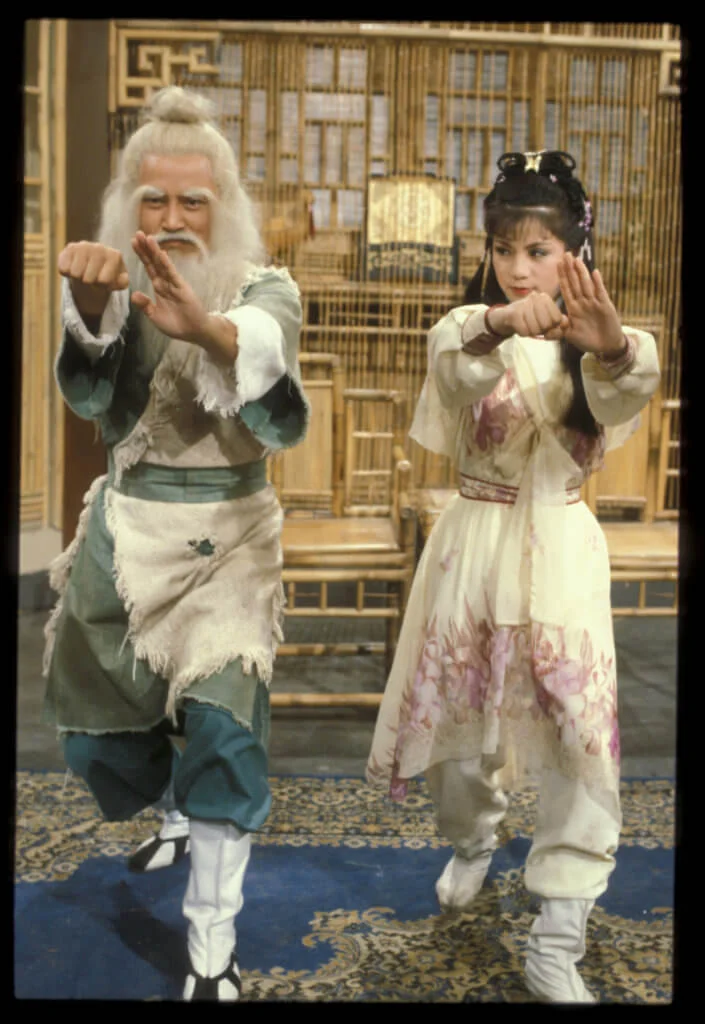 劉丹在《射鵰英雄傳》與翁美玲分別飾演洪七公及黃蓉,向來慣演反派的劉丹亦因此轉型演較輕鬆搞笑的角色。