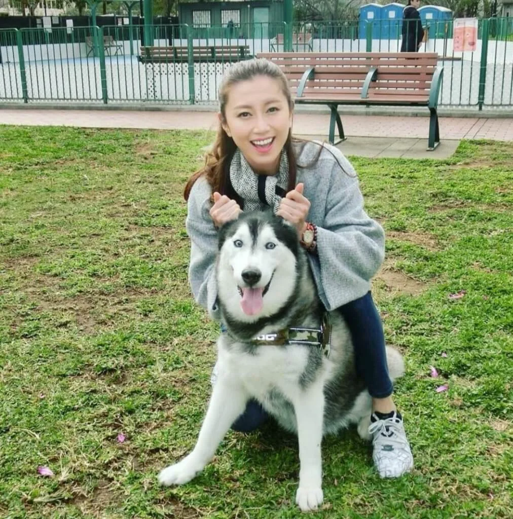 郭思琳所養雪橇犬幾個月前過身，她的心情至今仍未能平伏。