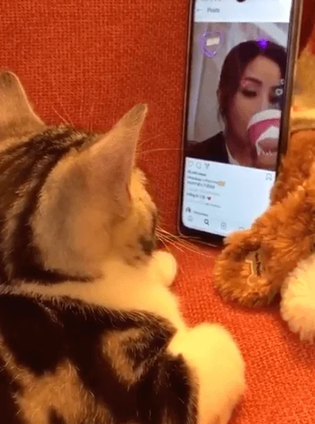 2020-02-249-43-05-sa4