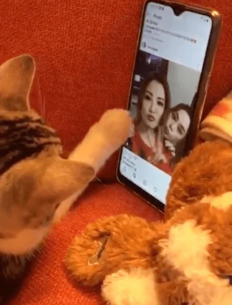 2020-02-249-43-05-sa5