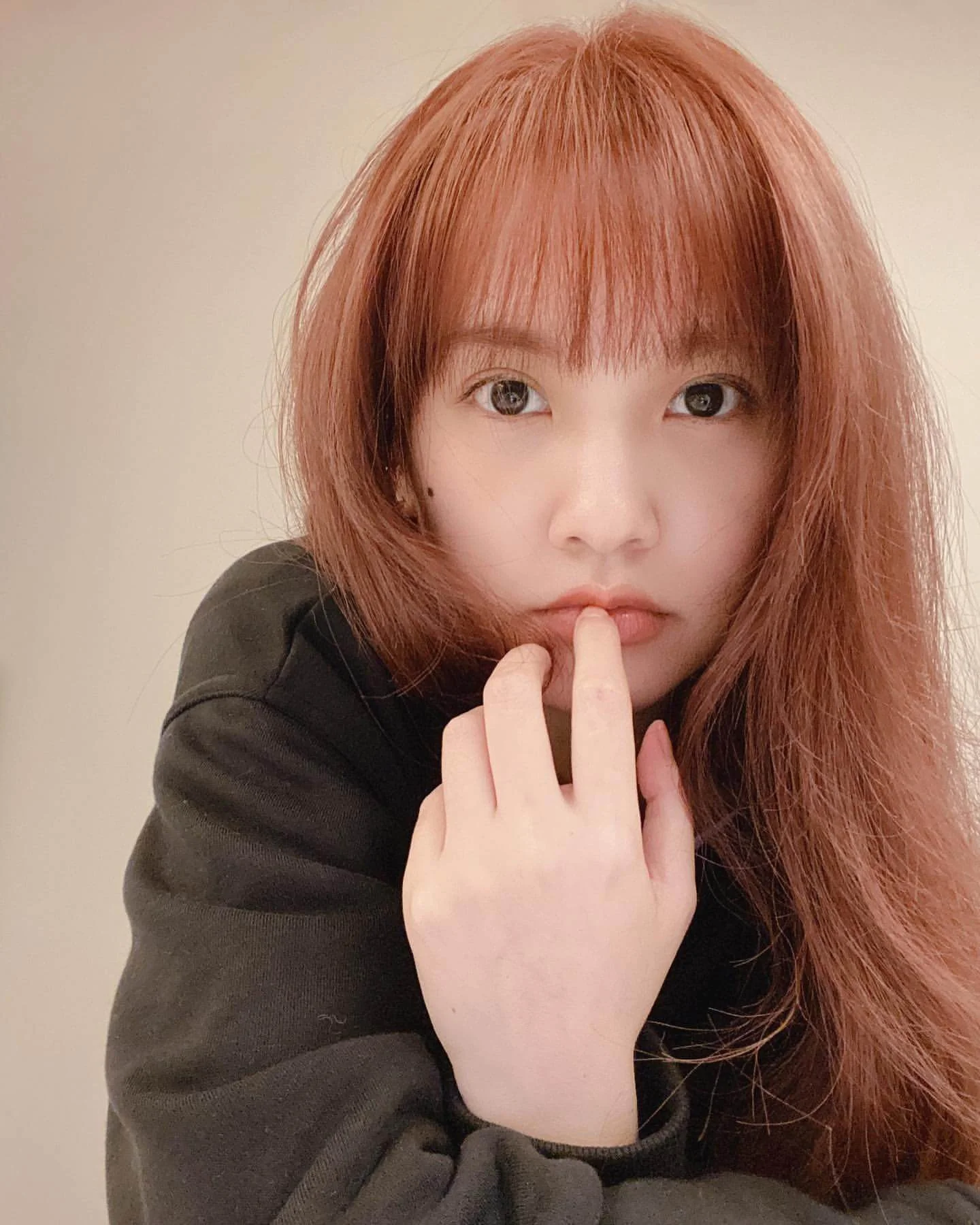 87675561_1260189237507801_5793436173408333446_n