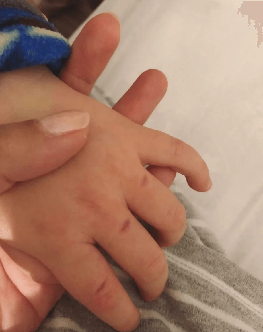 screen-shot-2020-02-03-at-2-58-16-pm