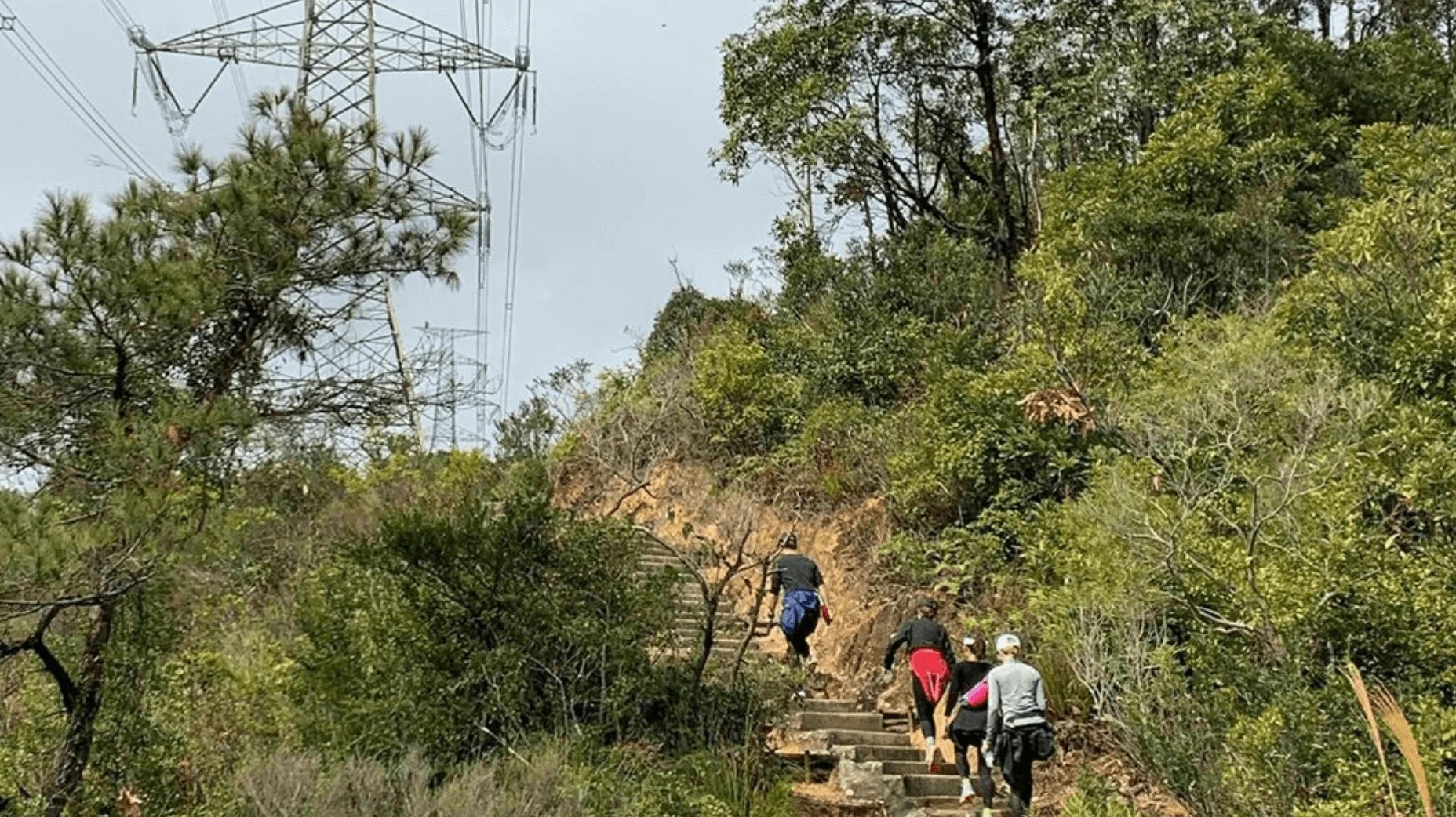 screen-shot-2020-02-04-at-5-32-18-pm