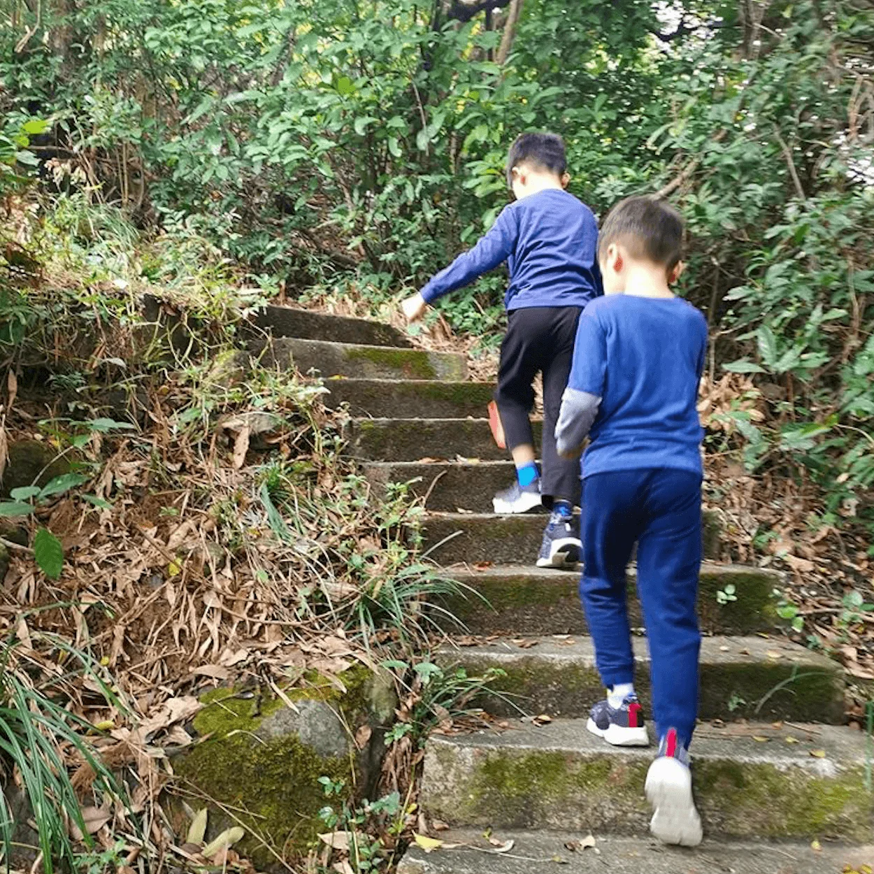 screen-shot-2020-02-17-at-4-54-04-pm