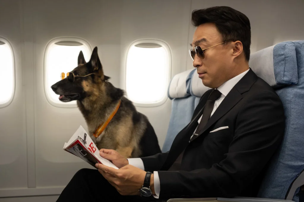 電影找來當紅演員聲演片中動物，由申河均聲演Ali，《上流寄生族》「富爸爸」李善均聲演黑山羊。
