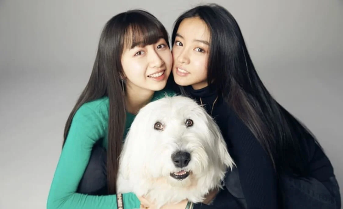 911ef283-ff71-494f-bfd0-e4095c878a6e