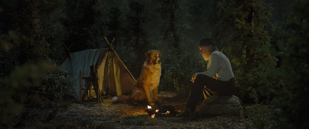 緣份讓福伯與巴克多次相遇,成為相知相惜的冒險夥伴。