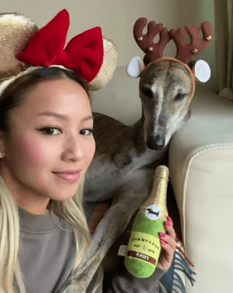 screen-shot-2020-03-11-at-6-16-19-pm