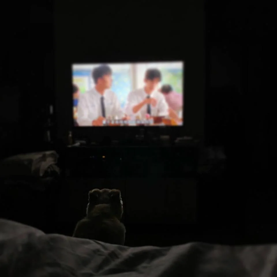 在家煲《想見你》