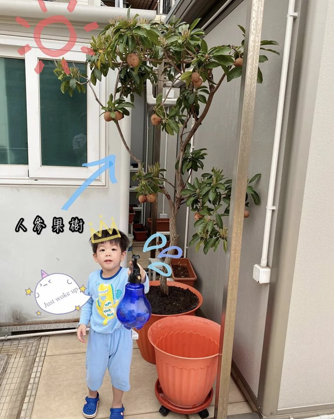 screen-shot-2020-04-08-at-12-50-19-pm