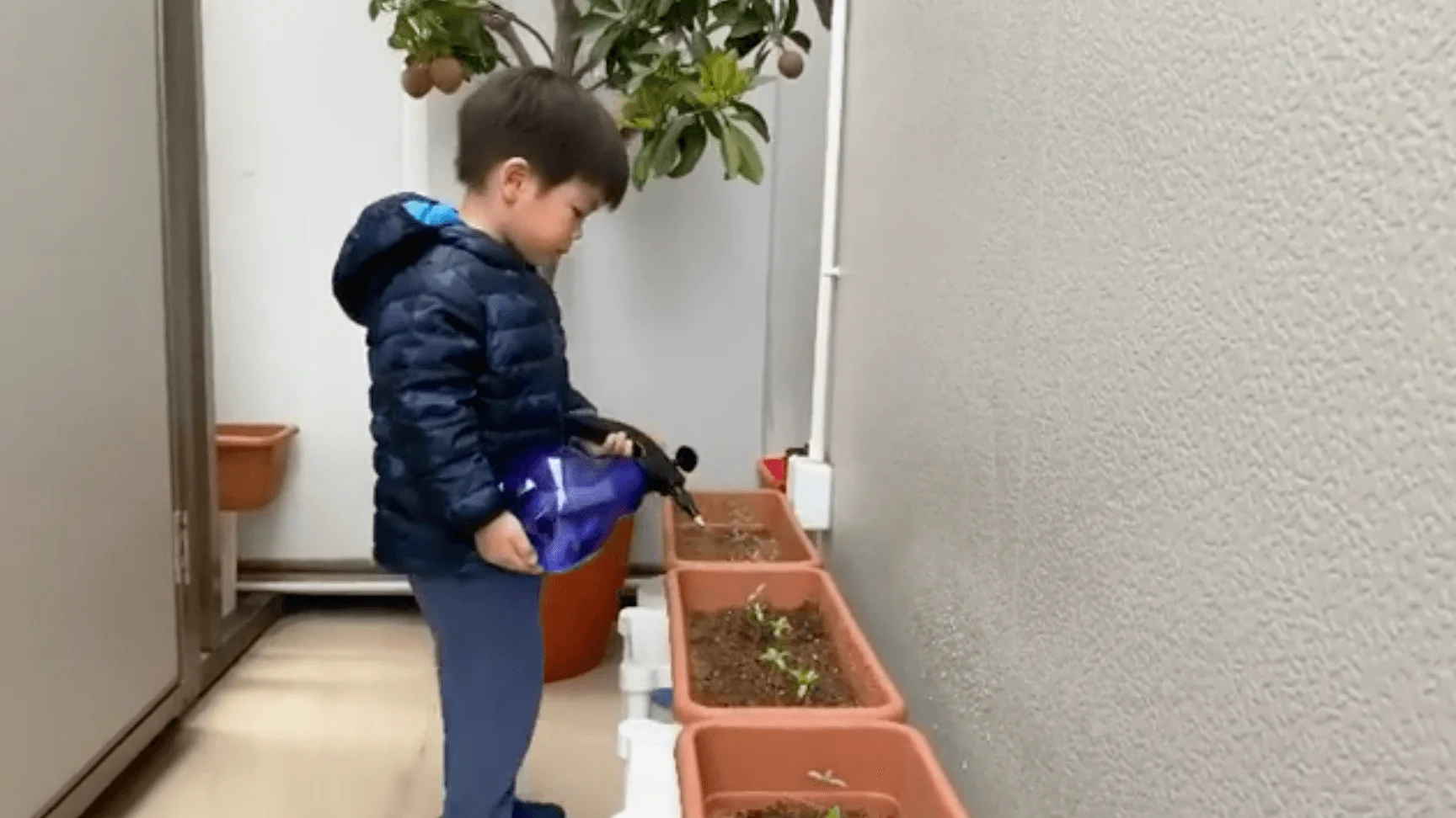 screen-shot-2020-04-08-at-12-56-28-pm