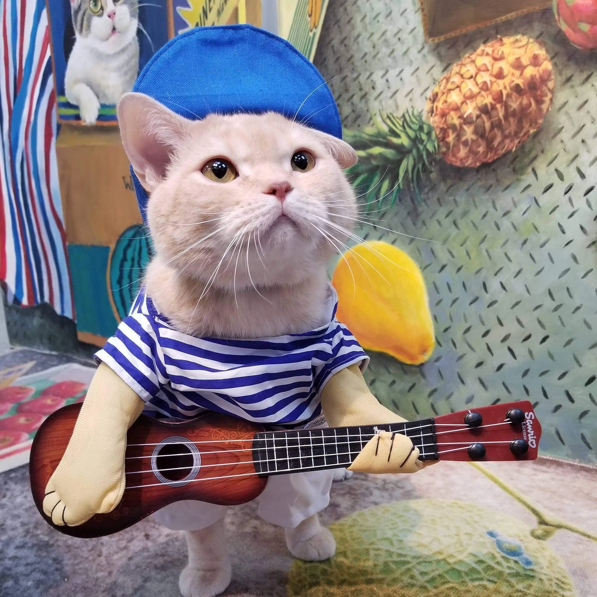 45734198_2182743408641696_1389202941348413440_o