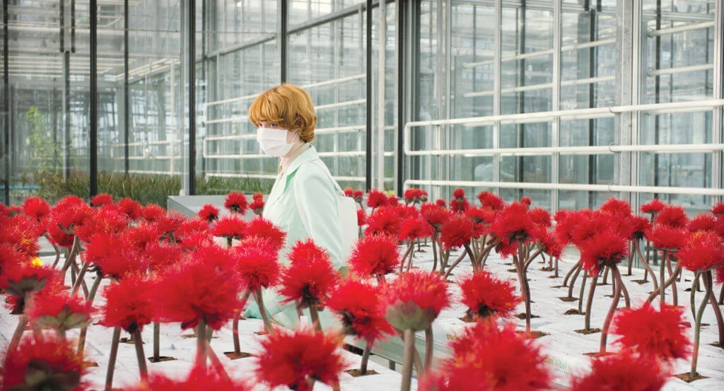《極樂品種》描寫女主角艾蜜莉碧崔飾演的植物學家培育洗腦魔花