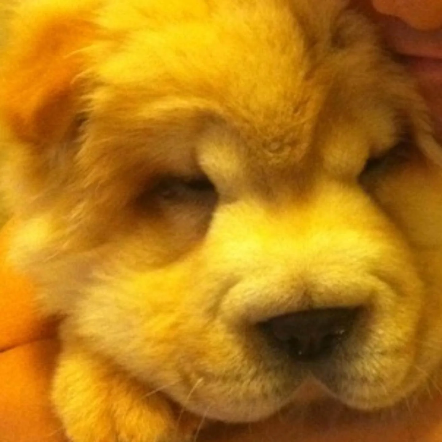 105491342_654816341792068_1330124608749994430_n