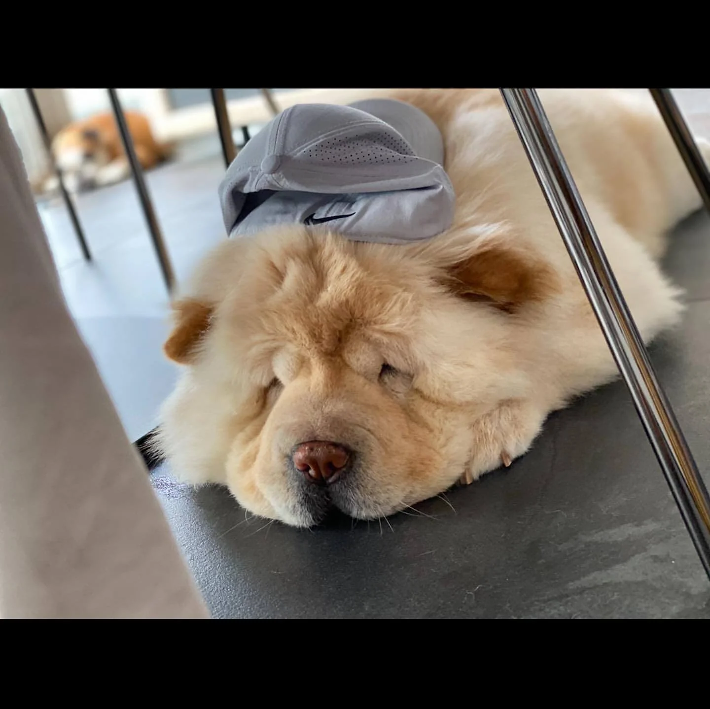 105939301_149517360043433_2596562261604780115_n