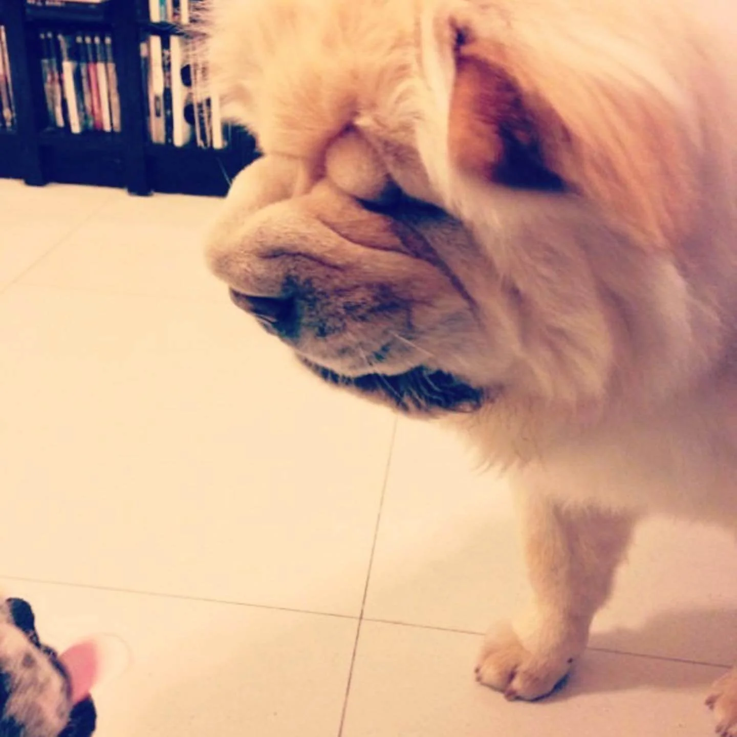 105965236_1060502241013307_7734609685012338780_n