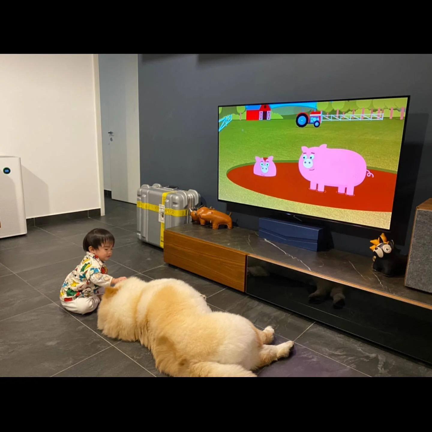 72753317_565391667467624_3691822048249368000_n