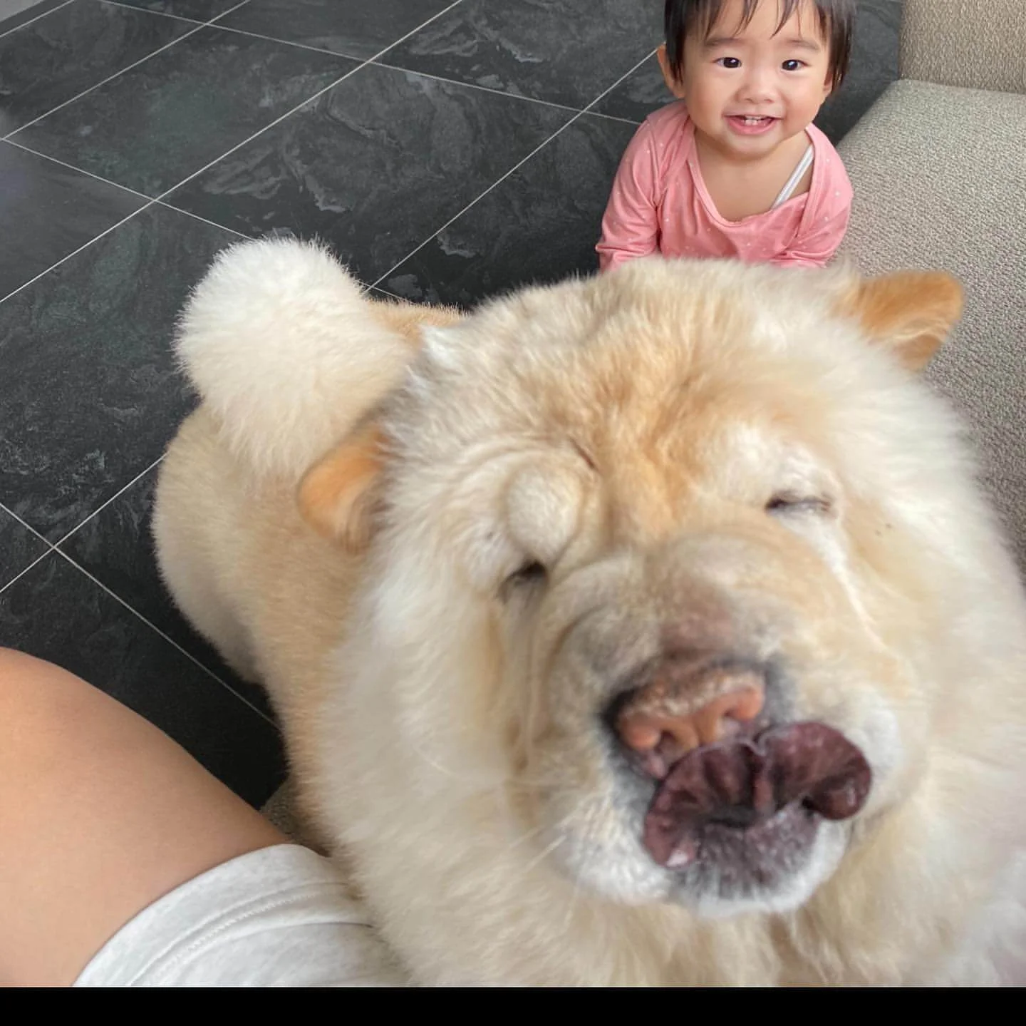 84106326_1086085225126362_4254131582131320659_n