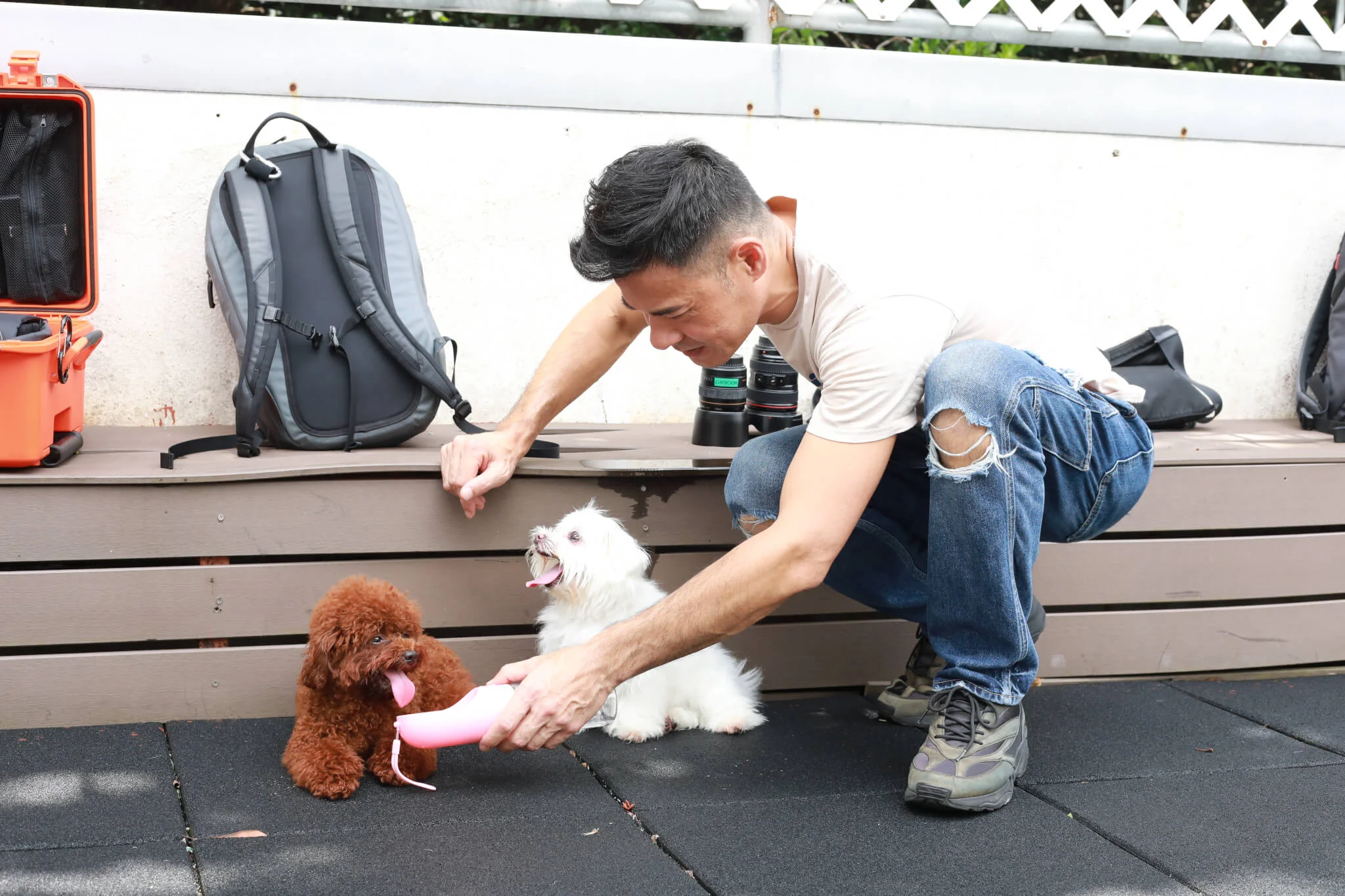  Cream與Cupcake雖然年紀有差距，但感情很好。