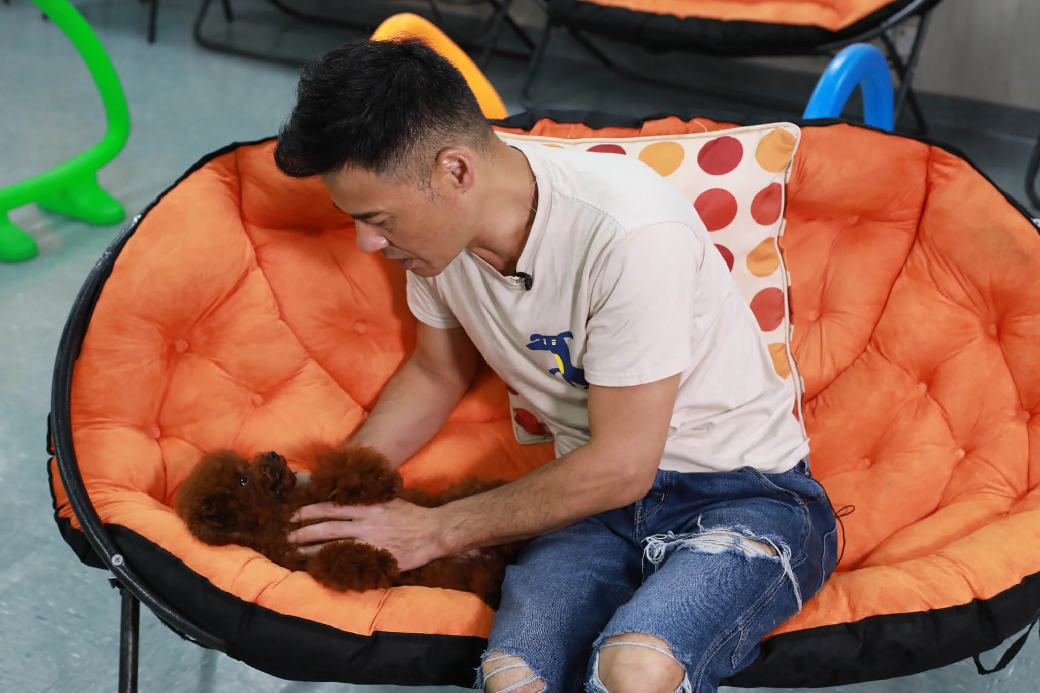 Cupcake最喜歡躺着被主人任摸，簡直爽爆！