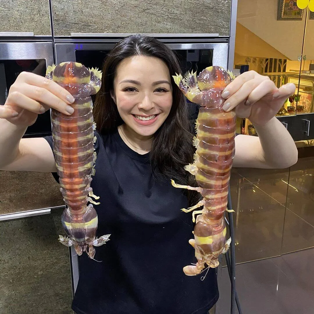 109880420_745941736222644_4487240952692759396_n