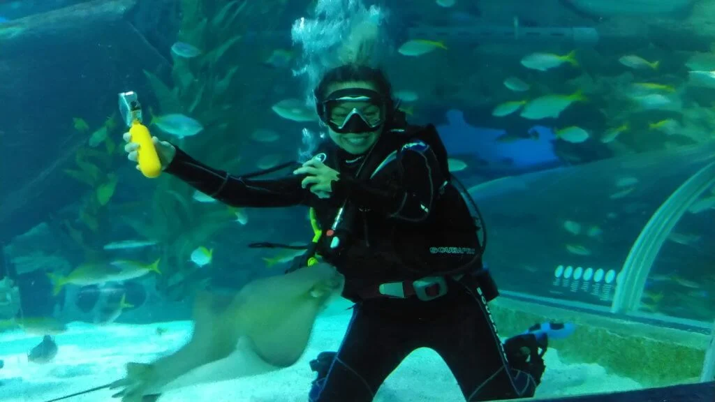 現時跟陳鍵鋒考高級潛水牌的鄭融,在水族館跟鯊魚游水。