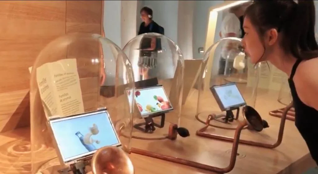 為了對紅酒加深認識，她報讀了相關課程。