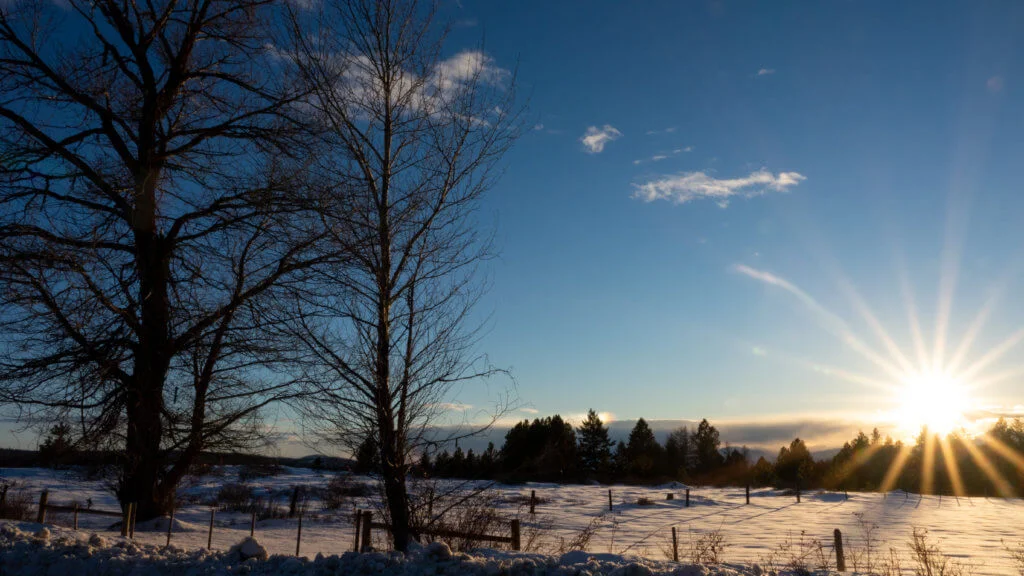 影片主要在加拿大的冰天雪地取景，拍出末世森林氣氛及詩意。