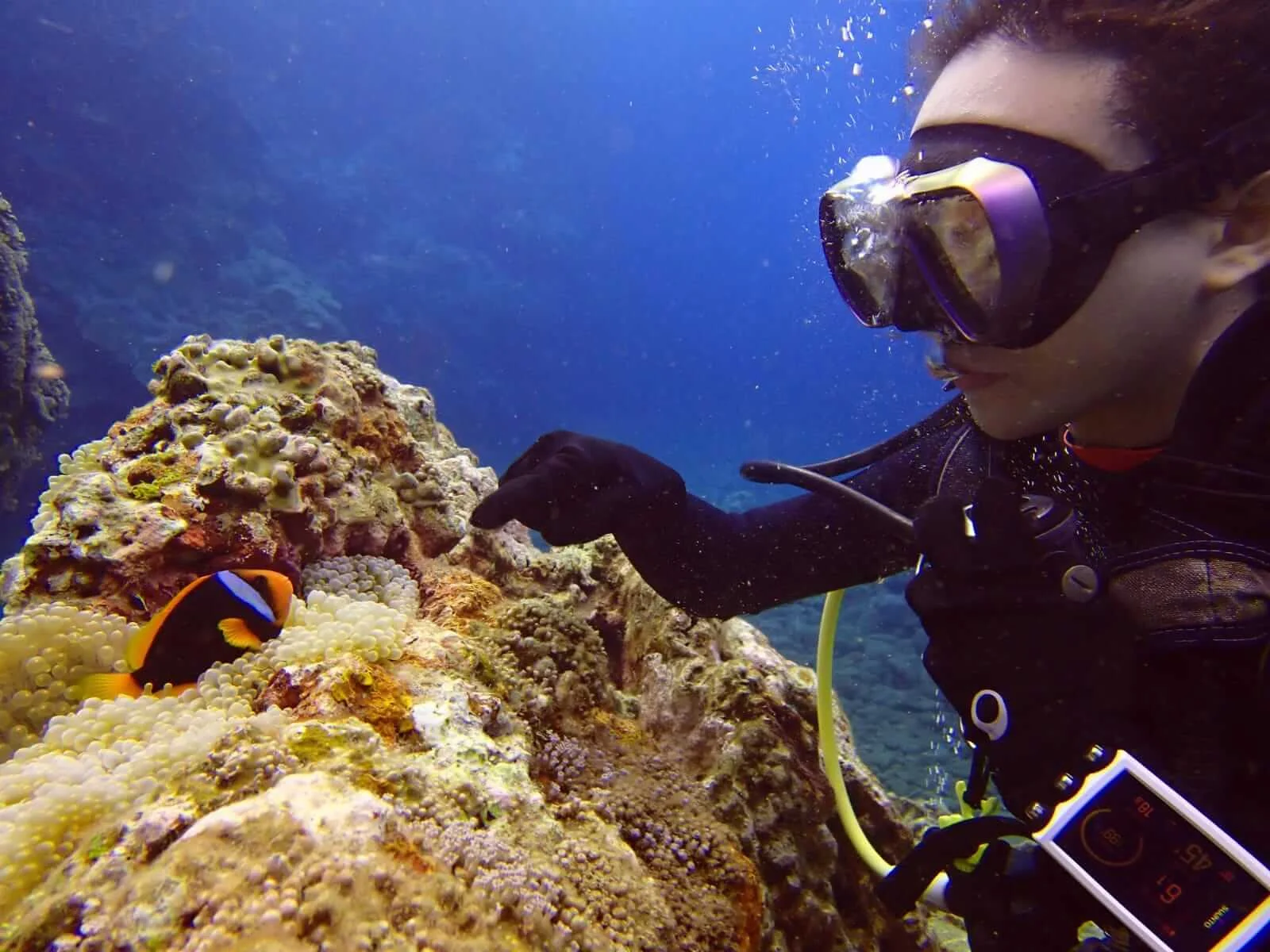 whatsapp-image-2020-08-10-at-15-28-53