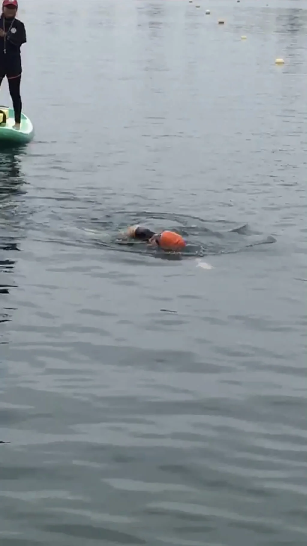 6d9cd0e8gy1g8woxbj29nj20v91voe83