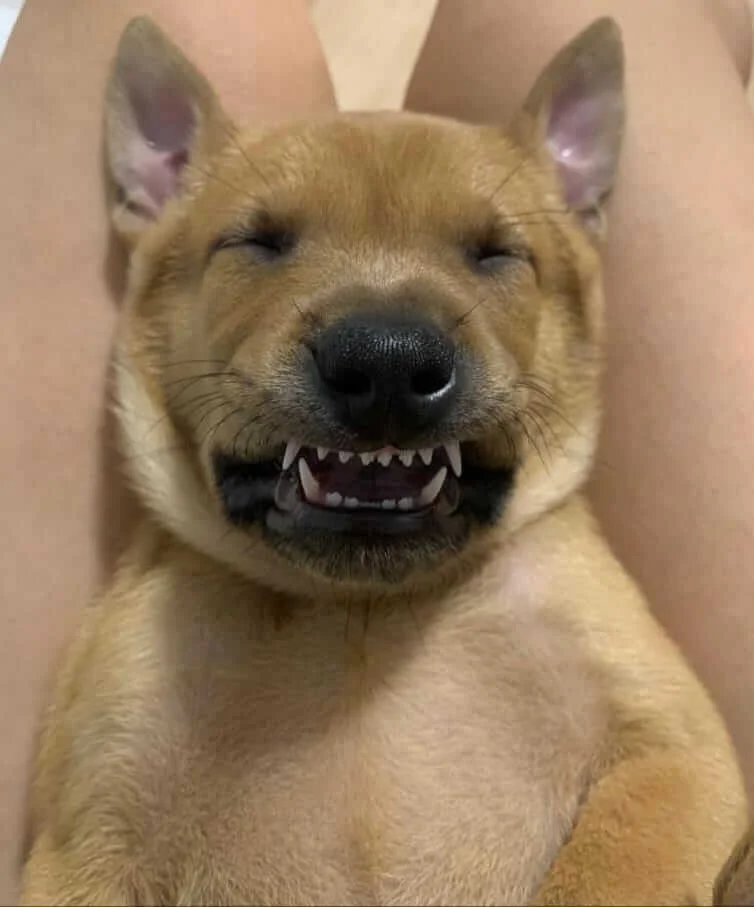 牛仔褲的無敵笑容令人難忘